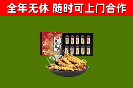 双鸭山市回收冬虫夏草价格